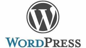 Read more about the article WordCamp US: The Ultimate WordPress Conference
